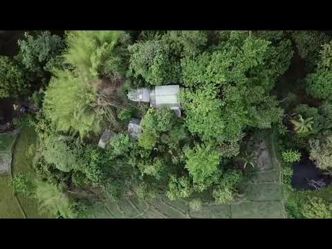 Aerial drone footage over Tigerland Rice Farm