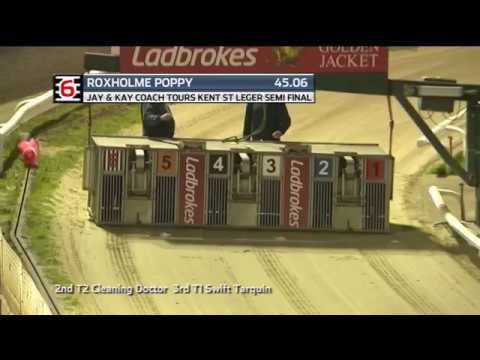 2018 JAY & KAY COACH TOURS KENT ST LEGER - 1ST SEMI - T6 ROXHOLME POPPY