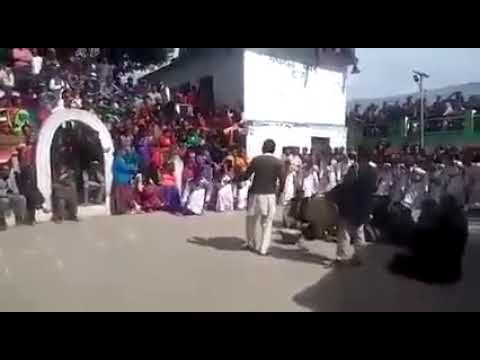 #Budi#Diwali#special#