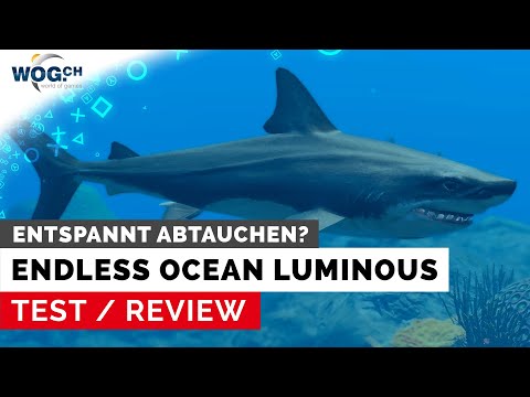 Endless Ocean Luminous - Test: Entspannt abtauchen?