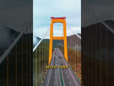 The 5 Most Dangerous Bridges In The World #DangerousBridges #ScariestBridges #ExtremeBridges