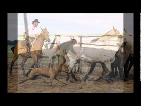 Ese es Un hombre campero - Raul Ojeda