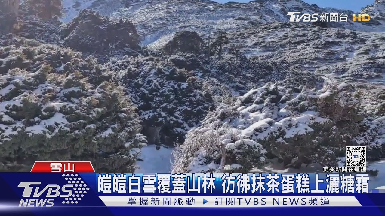 誰在雪山撒糖霜? 鬱鬱山林也白頭最新雪況曝光「積雪達15公分」