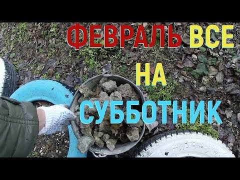 Аномальная ЗИМА / Цены на куриное мясо / Небольшой субботник / Шедевр кулинарии;-)