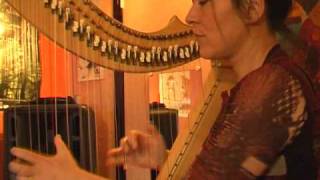 magali zsigmond harpe électrique
