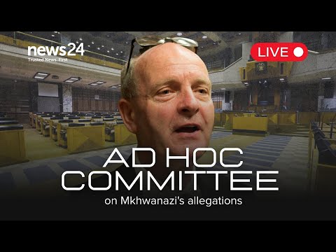 WATCH LIVE | Paul O’Sullivan back in hot seat at Parliament’s ad hoc committee