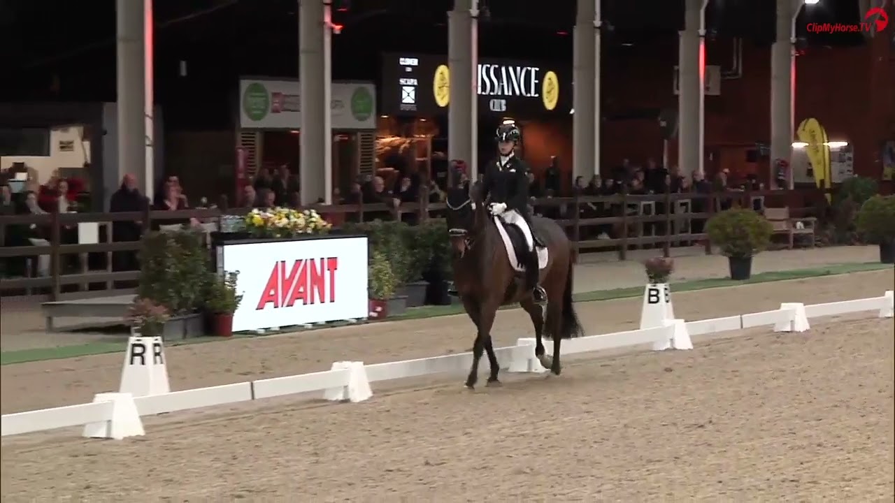 Freestyle Junioren CDI Lier 2023