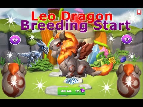 How to Breed LEO Dragon-Dragon Mania Legends | Legendary LEO Breeding Start | DML | HD