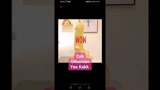 Download lagu Bantal Guling unik bebek gemoy mp3