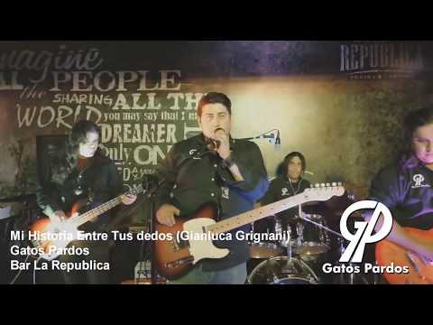 Mi Historia entre tus dedos COVER| Gianluca Grignani | Live session | Gatos pardos