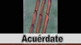 ACUERDATE DE PEDRO ACUÑA MEZA