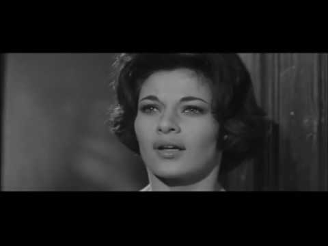 Curse Of The Fly - Seeing Judith