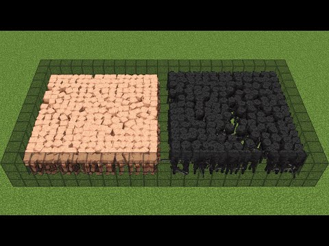 1000 piglins vs 800 wither skeletons