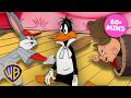 Looney Tunes Shorts MARATHON ️ Classic Looney Tunes MEGA COMP KidsCartoons Wbkids