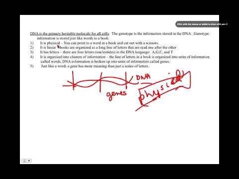 Genes have Two Parts, BIO105 Introductory Biology, David Champlin, USM