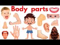 Parts Of Body Body Parts Name Name Of Body Parts In English With Pictures Bodyparts Educare