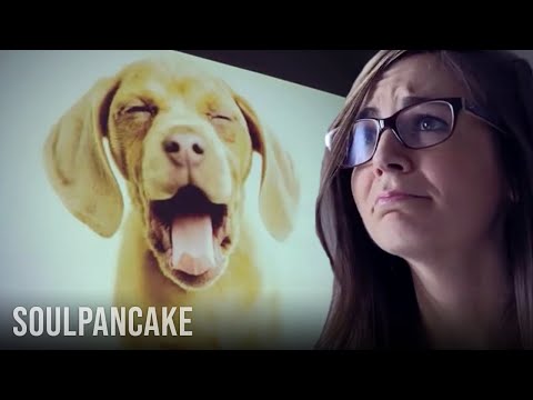 幸福の科学-かわいい攻撃性の研究 (The Science of Happiness - A Study of Cute Aggression)