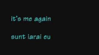 Dragostea Din Tei English Translated