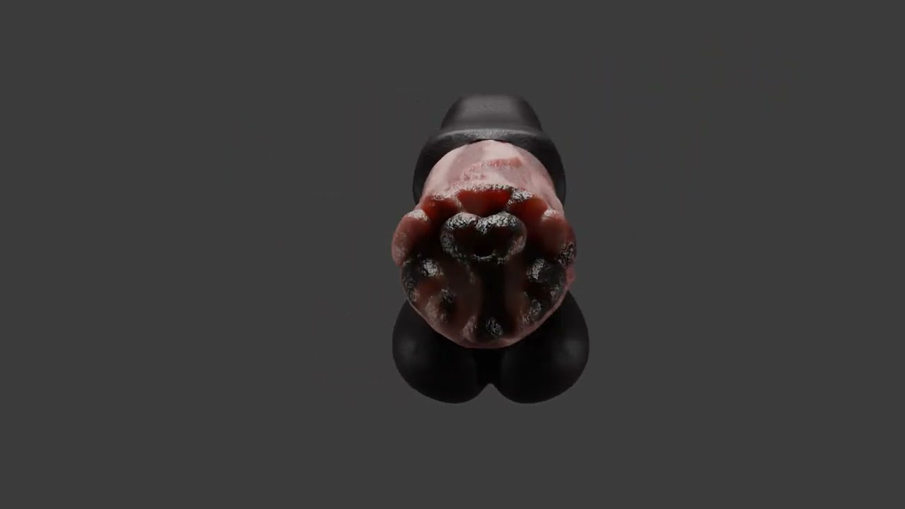 Horse Penis Low Poly Rigged and Animated 3D Model