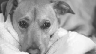 Winter Schemes - Wale ft. J.Cole (Lyrics)