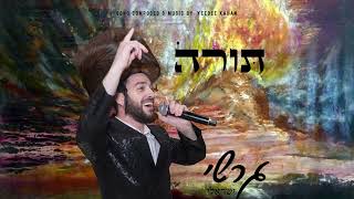 תורה - גרשי ישראלי | TORAH - Gershy Israeli