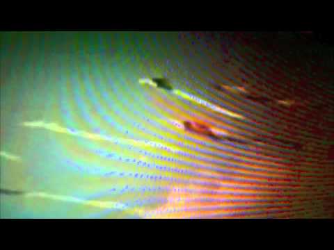 BLACK FEELINGS /// jupiter