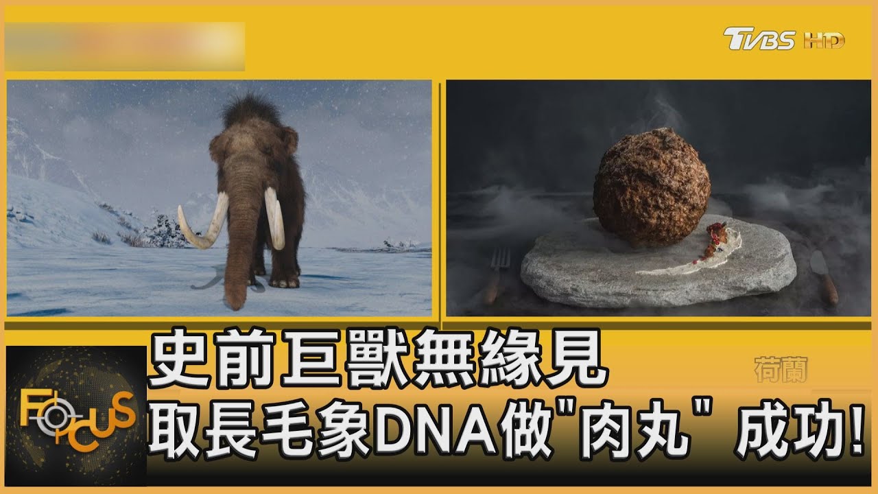 史前巨獸無緣見 取長毛象DNA做「肉丸」成功!