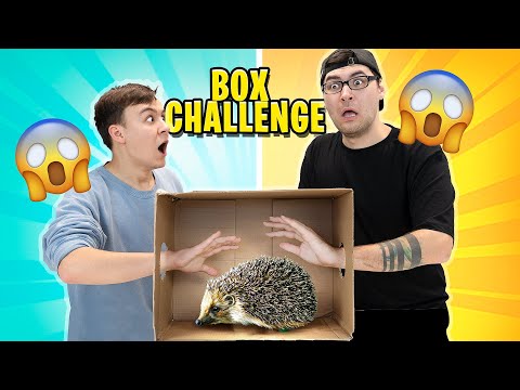WAS IST IN DER BOX CHALLENGE!