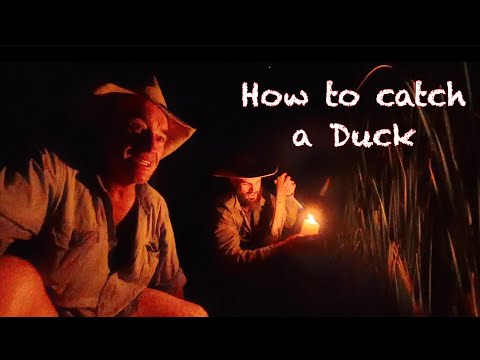 To catch a Duck. Preview