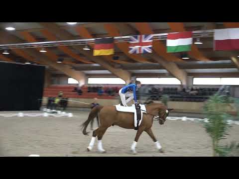 Lara Andrew freestyle