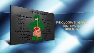 Fiziologia și igiena sistemului digestiv.