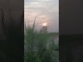 Snap X Satranga Viral Remix Love Shortsfeed Music Animal Snap Satranga