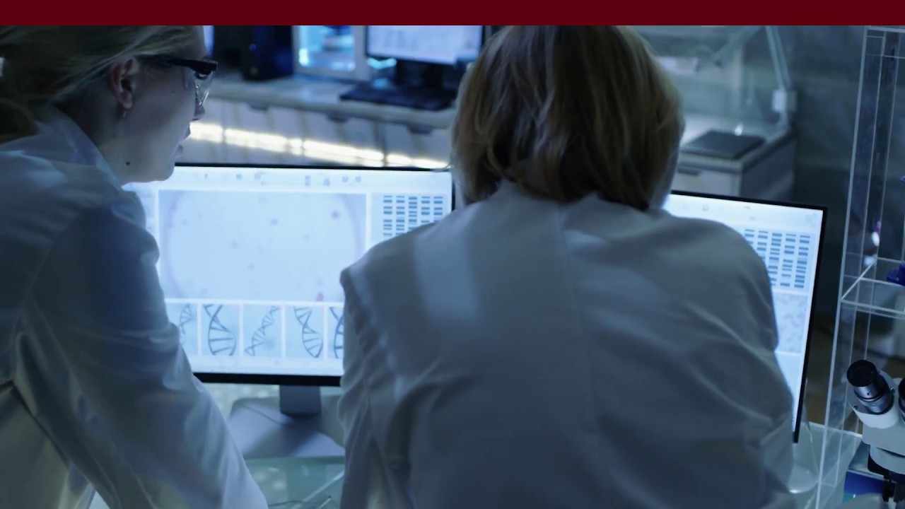 Evolving Human Capital through a Chicago Booth Executive MBA