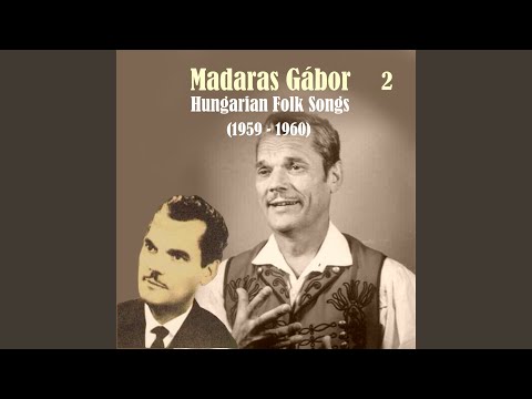 Eresz alatt fecskefeszek