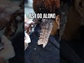 If You Have NEVER Done A Wash And Go Try THIS