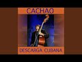 Descarga Mambo