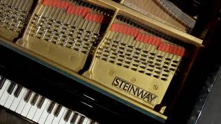 Celine Dion - Because You Loved Me (Jazz Reharmonisation by Michael Forte Chang)