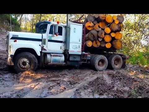 POWERFUL TRUCKS Freightliner, Kenworth, Peterbilt, International, STUCK in severe off road condition