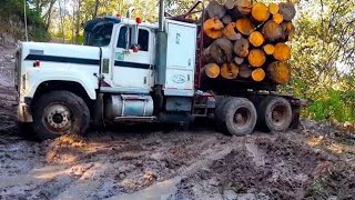 POWERFUL TRUCKS Freightliner, Kenworth, Peterbilt, International, STUCK in severe off road condition