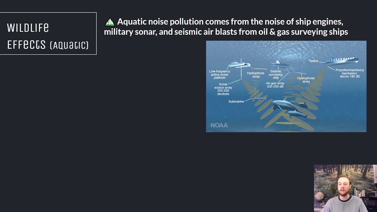 AP Environmental Science 7.8 - Noise Pollution