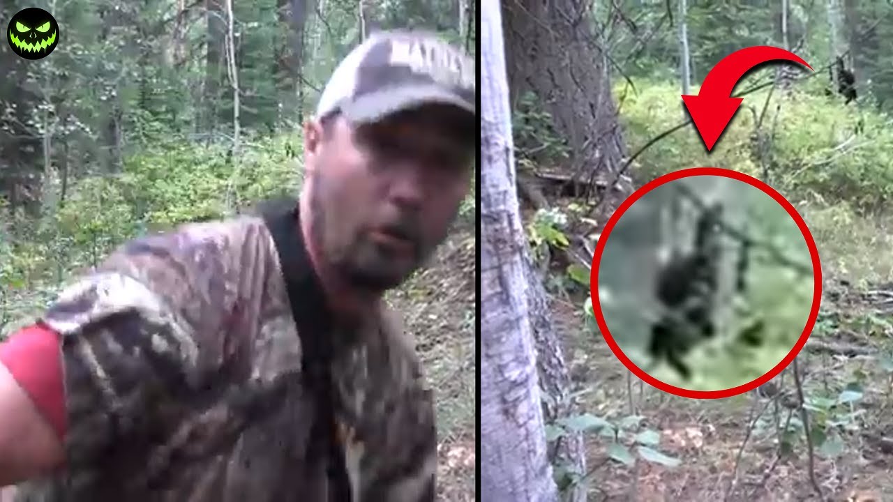 Strange and Scary Things in the Forest: What Youtubers Captured