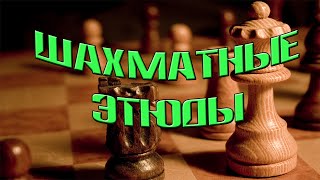 Решение этюда Митрофанова и Королькова. "Ферзи-самоубийцы"