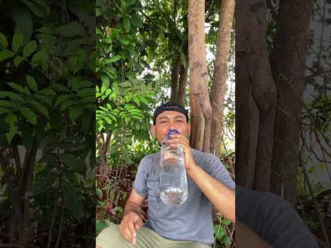 Survival Skills: Useful and Clever in the Forest #outdoors #camping #forest #giant