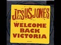 Jesus Jones - Welcome Back Victoria (The DNA Orchestral Mix)