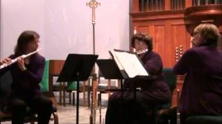 Elle Flute Trio plays Habanera from Carmen, with d'amore & alto flute