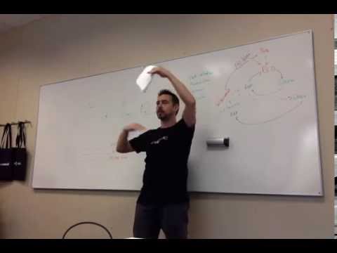 SCBCN15 -  Sandro Mancuso