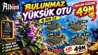 4 Adada Yüksük Otu Farming: İşte Gerçek Kazanç!