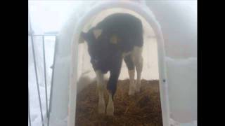 Ohni halt go fäschte