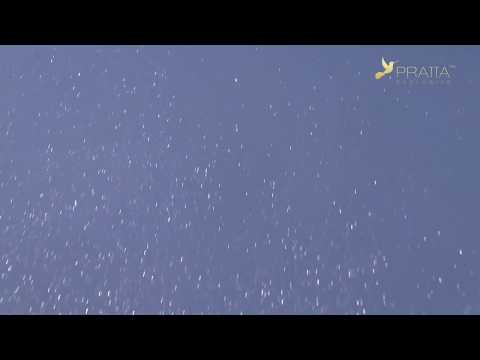 PHANTOM - Silver shiny surface in deep blue colour - review