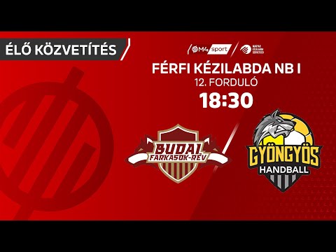Budai Farkasok-Rév – HE-DO B Braun Gyöngyös | férfi K&H Liga | 12. forduló
